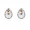 Silver Tone Daffodil Peacock Pear Shaped Crystal Earrings.JPG